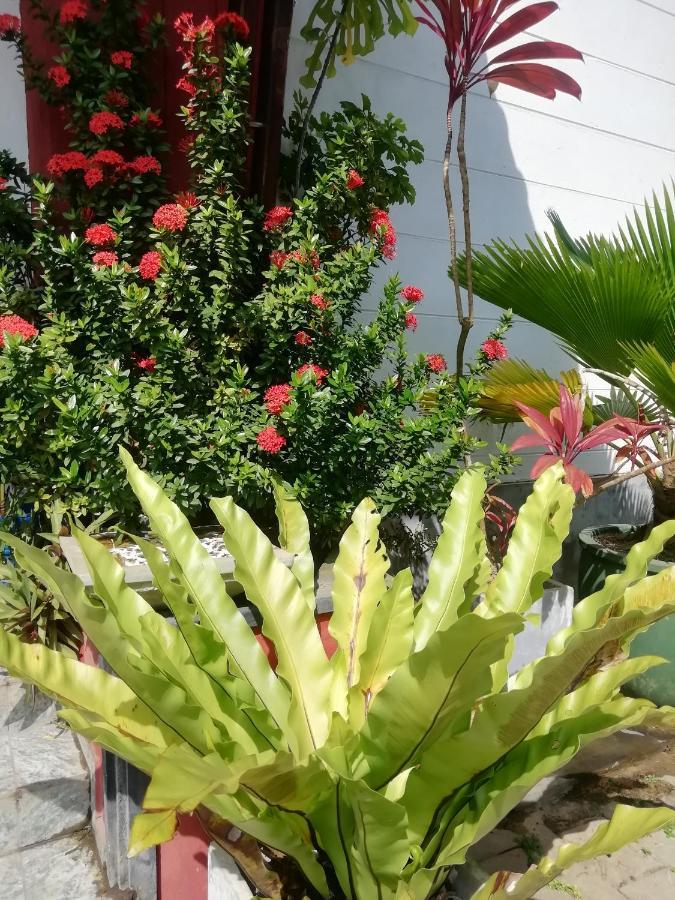 Rainbow Beach Hotel Хиккадува Экстерьер фото